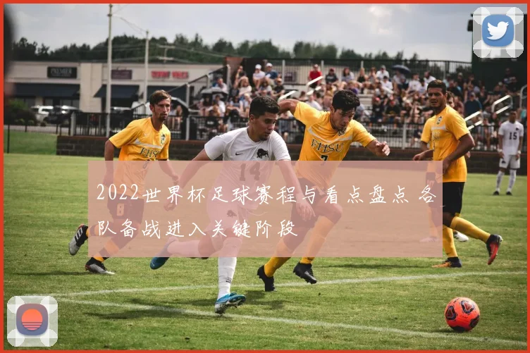 2022世界杯足球赛程与看点盘点 各队备战进入关键阶段