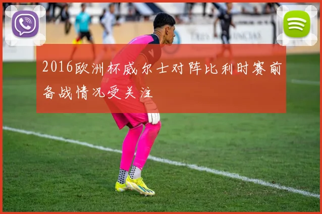 2016欧洲杯威尔士对阵比利时赛前备战情况受关注