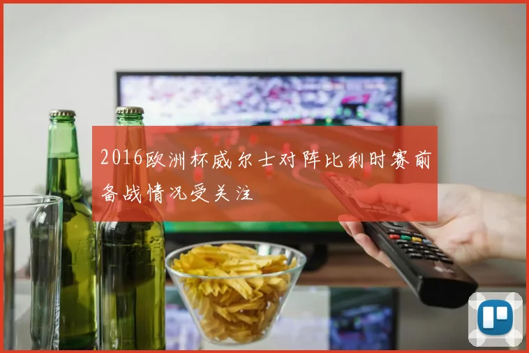 2016欧洲杯威尔士对阵比利时赛前备战情况受关注