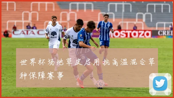 世界杯场地草皮启用抗高温混合草种保障赛事