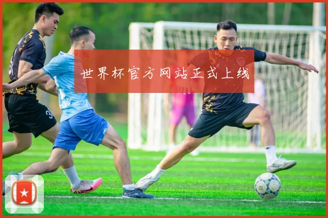 世界杯官方网站正式上线