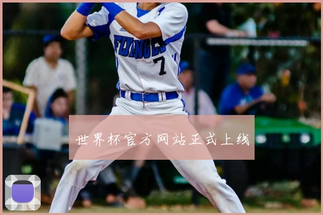 世界杯官方网站正式上线