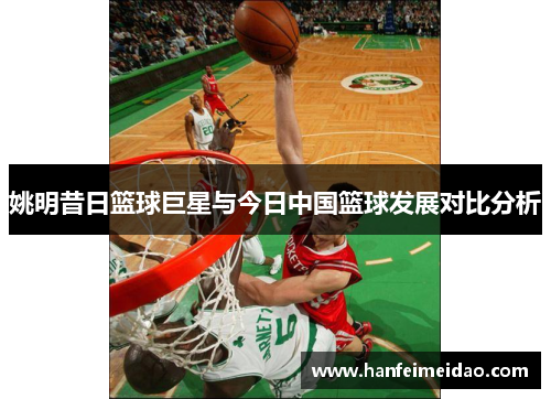 姚明昔日篮球巨星与今日中国篮球发展对比分析