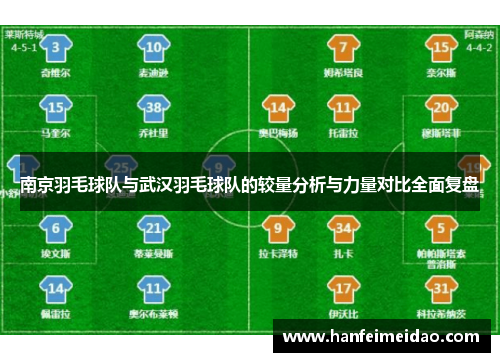 南京羽毛球队与武汉羽毛球队的较量分析与力量对比全面复盘